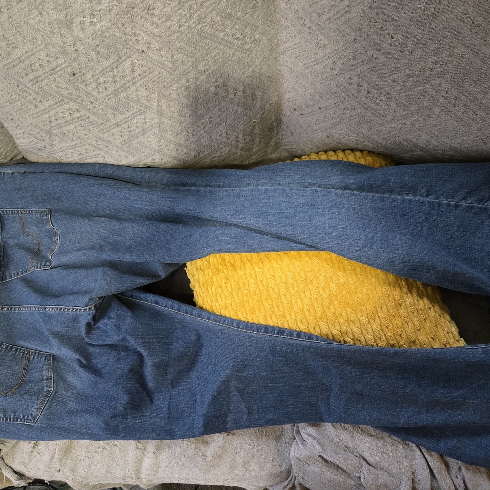 Signature Levi Strauss Blue Jeans